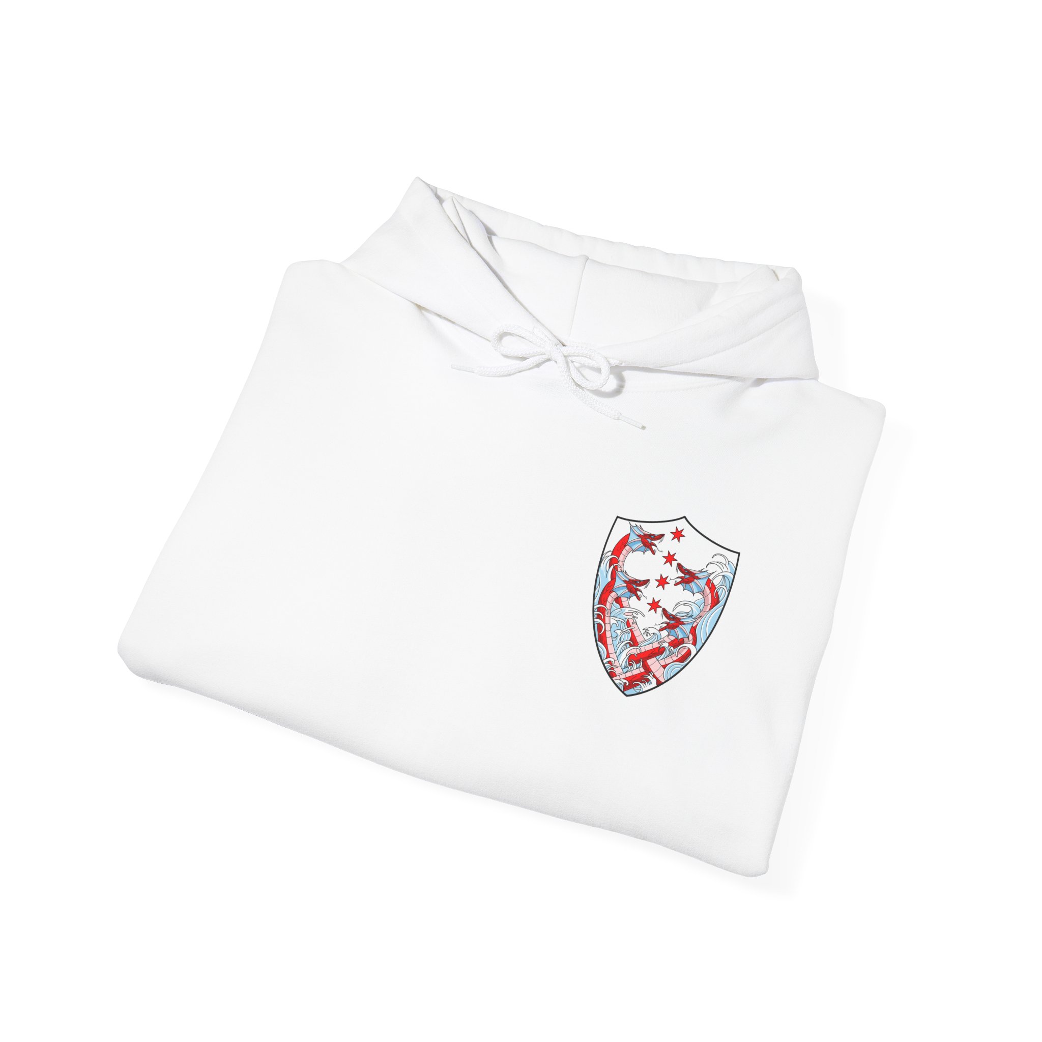 Hydras Chicago Buhurt Fight Club Hoodie — Hydras Logo Sweatshirt - Image 8