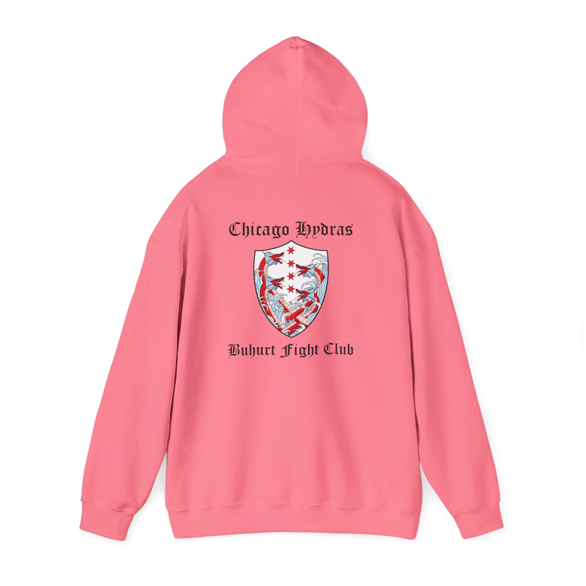 Hydras Chicago Buhurt Fight Club Hoodie — Hydras Logo Sweatshirt - Image 23