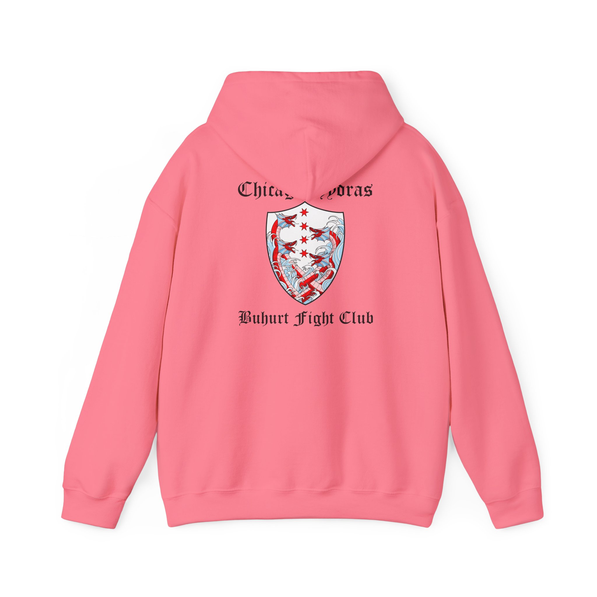 Hydras Chicago Buhurt Fight Club Hoodie — Hydras Logo Sweatshirt - Image 22